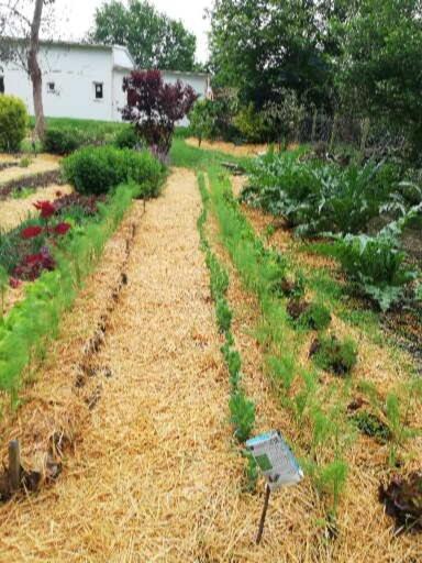Au Coeur Du Jardin Villa La Boussac Eksteriør bilde