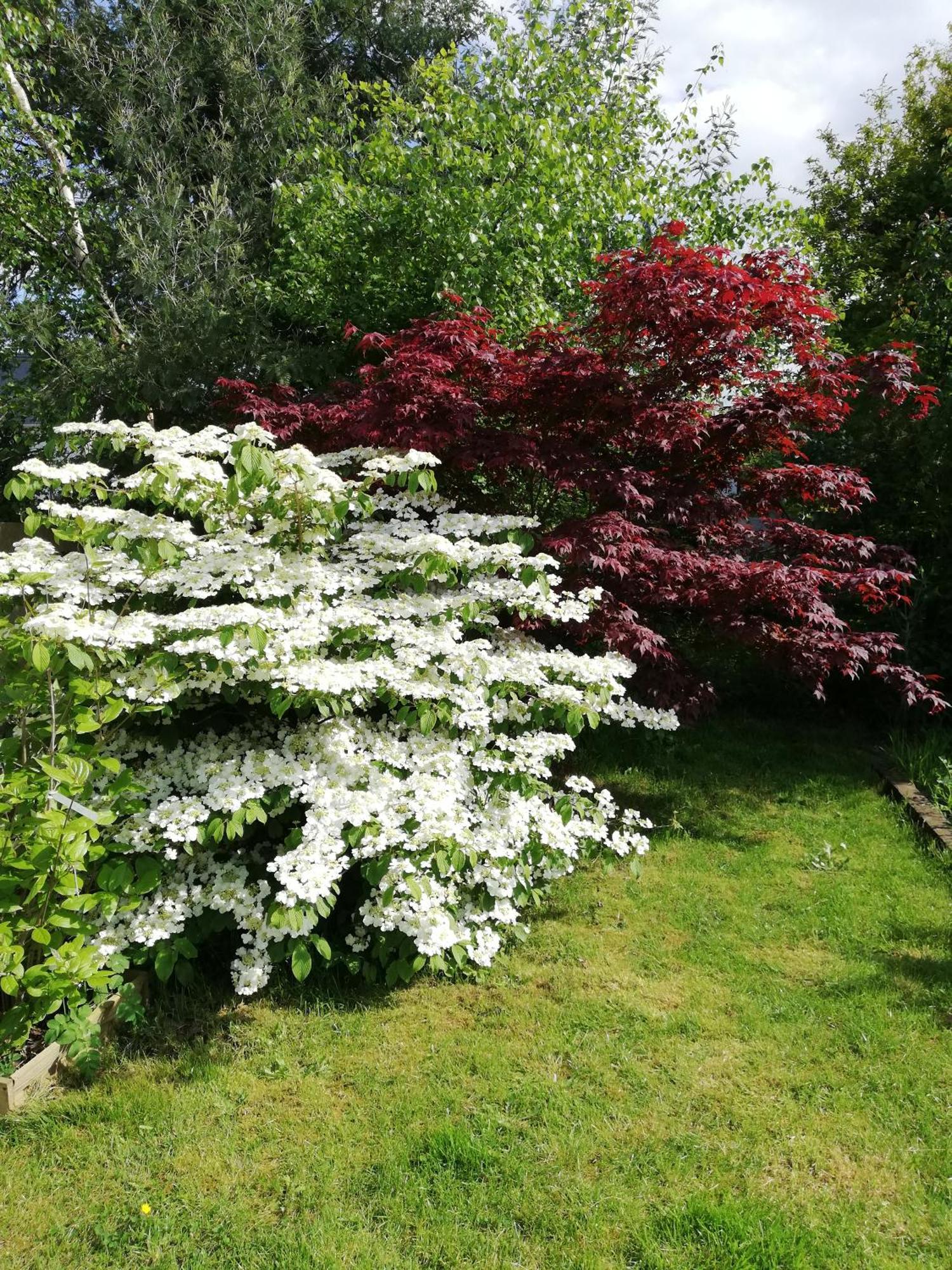 Au Coeur Du Jardin Villa La Boussac Eksteriør bilde